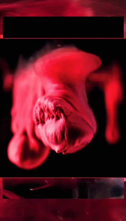 "'Waxy Wave' by Jen Lewis, displayed as part of the Kotex Art's Missing Period virtual gallery. A close-up macro photograph of menstrual fluid, fresh water and salt water, creating an abstract organic form in deep crimson and red tones against a black background, surrounded by flowing red fluid imagery.